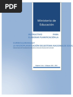 Instructivo de PCA y Microplanificacion 2021
