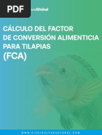 Datos para Niños - Mantarraya Información y Características | PDF ...