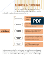  Lesiones Pigmentadas de La Mucosa Oral