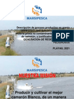 Proceso Productivo Marsipesca Sa