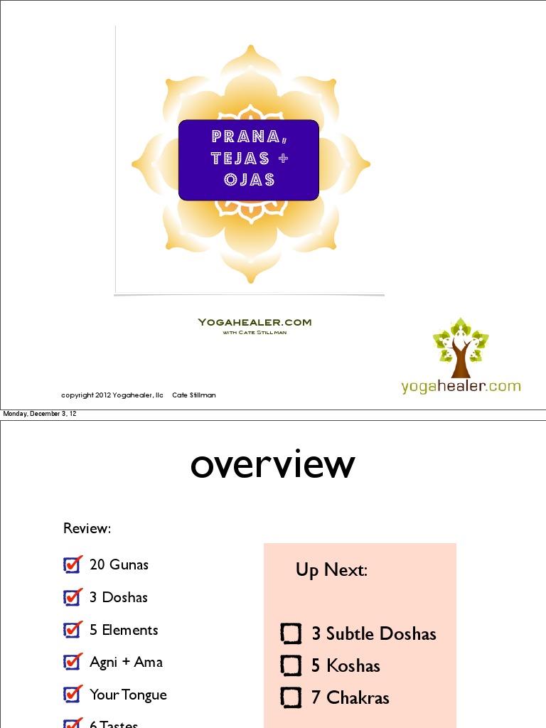 Prana, Tejas + Ojas Yogahealer PDF Ayurveda