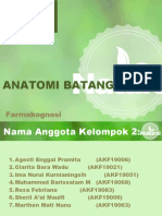 02 Farmakognosi Batang