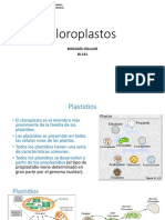10. Cloroplastos (1)
