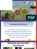 Animales Herbivoros y Omnivoros