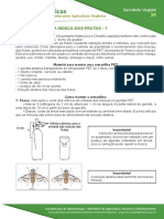 Armadilha para A Mosca Das Frutas