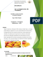 Características y exigencias de los frutales: el mango