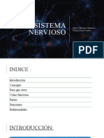 El Sistema Nervioso: Merily Humani Gutierres, Greysi Duran Castro