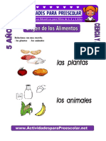 Origen de Los Alimentos para Niños de 5 Años