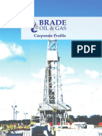 BRADE Oil & Gas Limited Nigeria