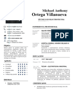 67 Curriculum Vitae Puro