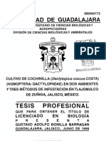 Ambientes y Metodos de Infestacion Cochinilla