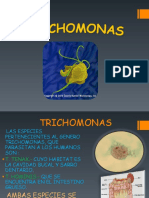 Tema Nº7 Trichomona Vaginalis