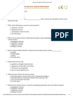 Diseases and Injuries of The Nervous System Worksheet