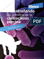 0901 Colibacilosis Elanco