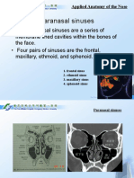 Anatomy and Acute Rhinitis