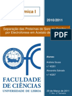 Separação Das Proteínas Do Soro de Coelho Por Electroforese em Acetato de Celulose