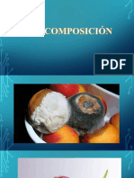 Descomposicion y Oxidacion