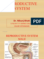 Reproductive System: Dr. Nikunj Bhatt