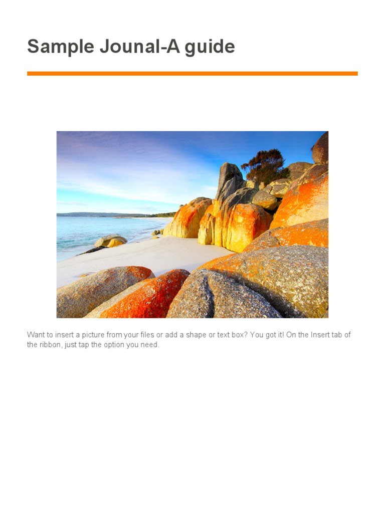 Sample Journal | PDF