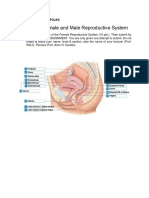 Labeling of Female and Male Reproductive System (GARBOSA, R.M 2-D) Prof. Alvin H. Gustilo