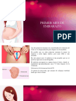 Periodo Fetal