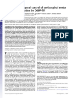 Area-Specific Temporal Control of Corticospinal Motor Neuron Differentiation by COUP-TFI