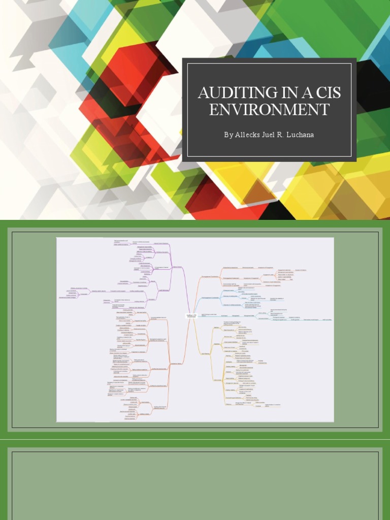 Auditing in a CIS Environment | PDF