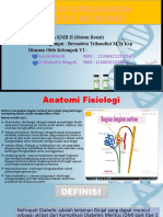 Asuhan Keperawatan Diabetic Nefropati