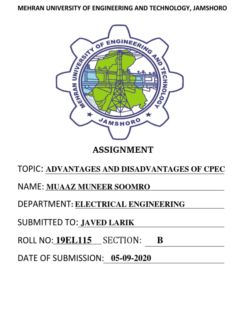 An Analysis of the Key Advantages and Disadvantages of the ChinaPakistan Economic Corridor