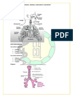 Temas 3er del parcial - fisiopatologia Dr. Dorado