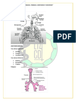 Temas 3er Del Parcial - Fisiopatologia Dr. Dorado