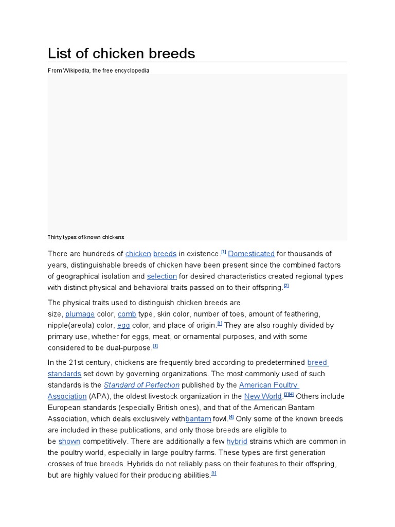 List of Chicken Breeds PDF Broiler Chicken