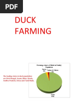 Duck Life Cycle: Stages Explained | PDF | Duck | Egg