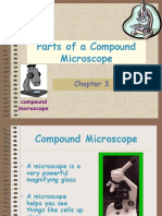 Parts of A Compound Microscope