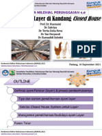 Budidaya Layer Di Kandang Closed House