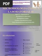Download Aula Micro II n 3 - Mycobacterium by elianeafonso SN52919308 doc pdf