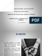 3.-  PS CRMINALIDAD- EL DELITO   MAESTRIA.