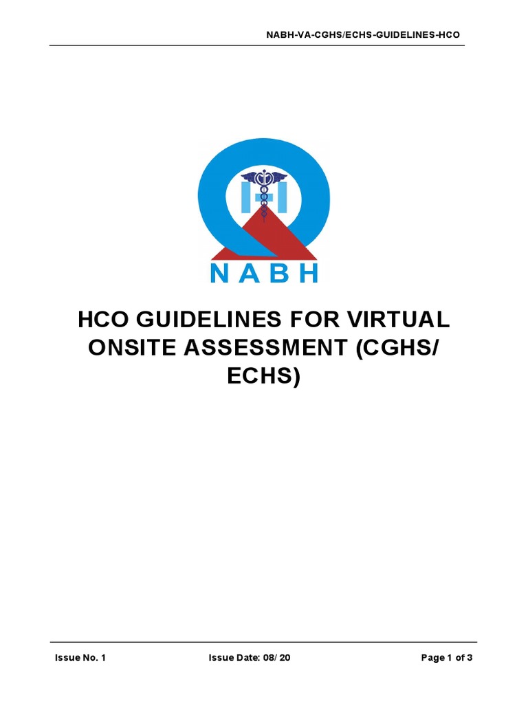 HCO Guidelines For Virtual Onsite Assessment PDF Health Care