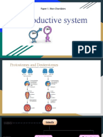 Reproductive System PPT For MSC Zoology
