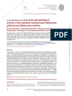 β-Endorphin enhances the phospholipase globosa and Malassezia restricta