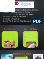 Presentacion de Elaboración de Harina de Trigo