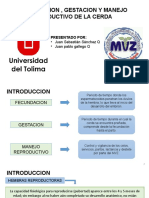 Fecundacion, Gestacion y Manejo Reproductivo de La Cerda