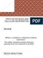 Photosynthesis and Cellular Respiration Review