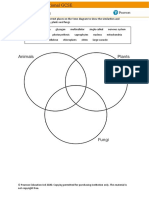 Y9 Kingdoms Venn Diagram