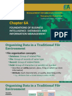 Chapter 6A: Foundations of Business Intelligence: Databases and Information Management