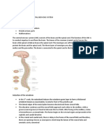 Embryology Lecture 6: Induction of The Ectoderm