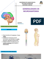 Clase 1 - A - Generalidades y Medula Espinal