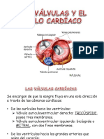 Válvulas cardíacas: funcionamiento y auscultación