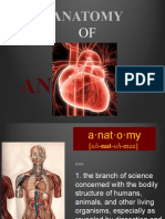 Part 1 - Anatomy of Anathas