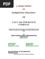 Download TATA AIG INSURANCE COMPANY MARKETING STRATEGIES by Hitesh Mittal SN52926073 doc pdf